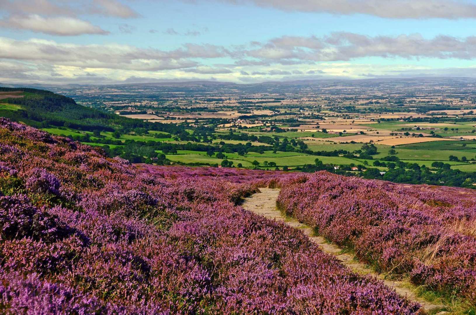 Cleveland Way