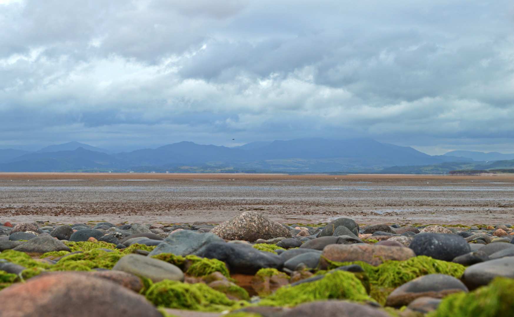 Smooth stones on the beach at Sandscale Haws