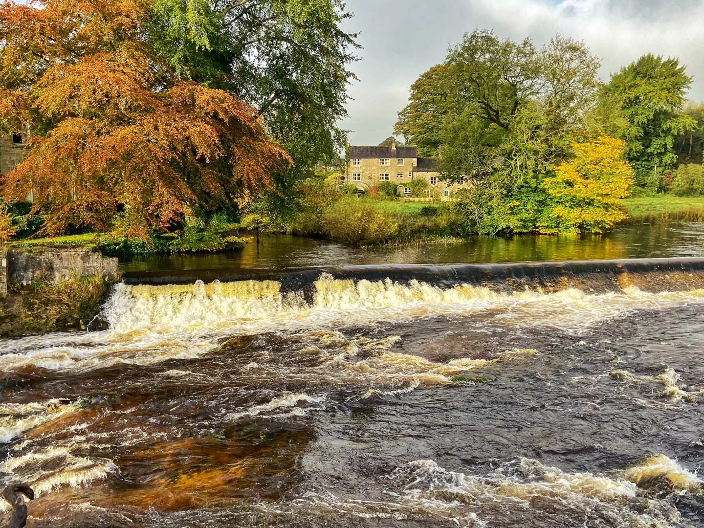 A pretty Yorkshire house stands between trees over the tumbling waters of Linton Falls, a great natural wonder to visit.