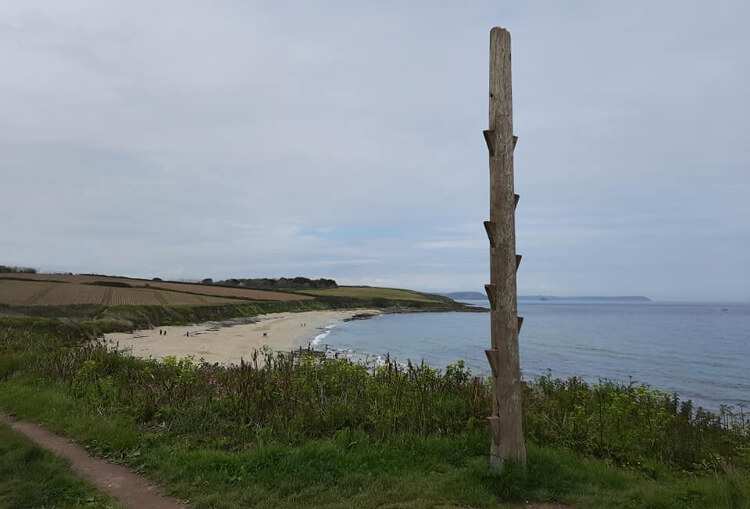 A climbing pole protrudes from a grassy field near the coastline.