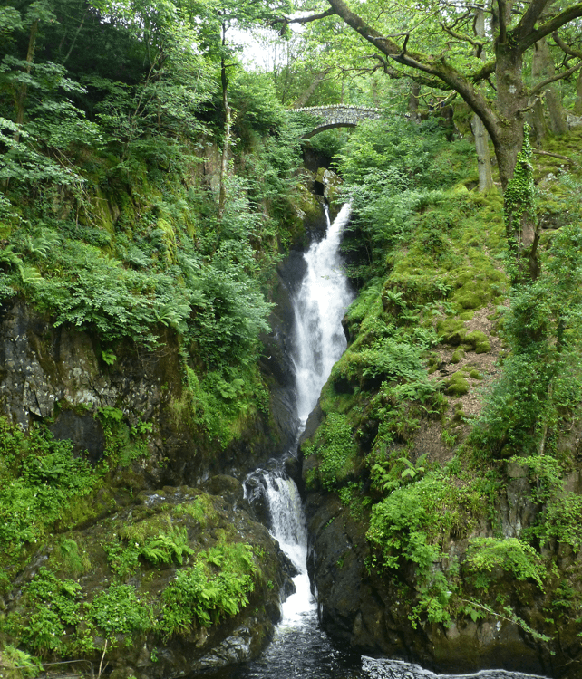 aira-force.png