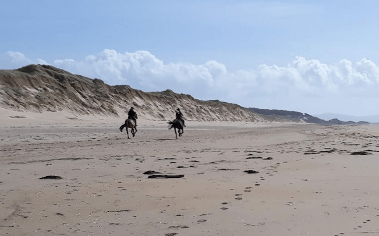 Horses running on one of Anglesey's sandy beaches