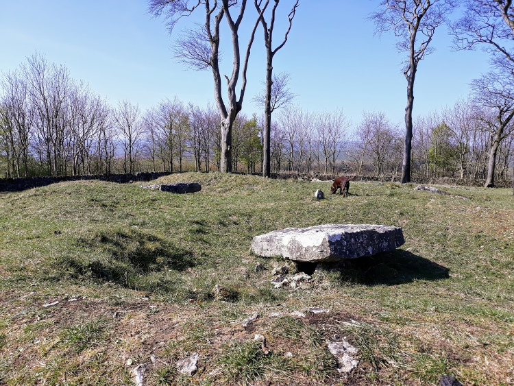 Stone barrows atop the hill