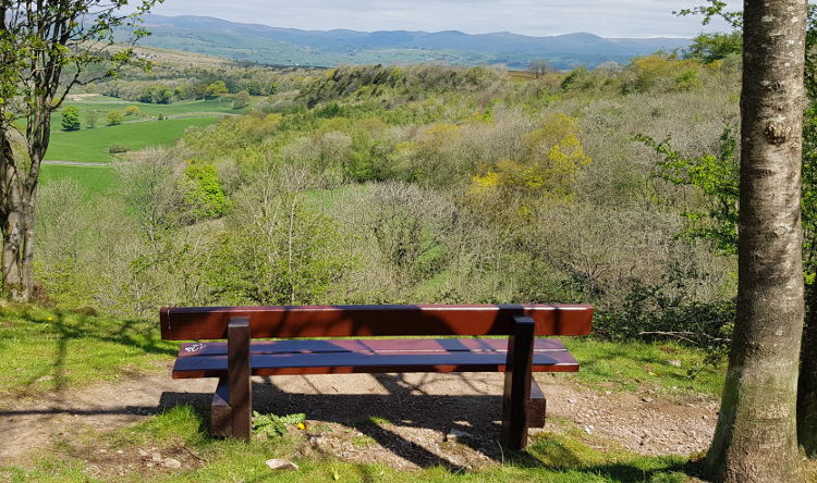 Romantic Spots in Cumbria: The perfect bench
