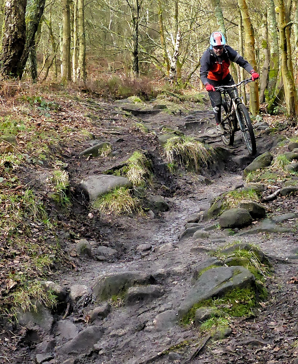 Blacka Plantation Mountain Biking