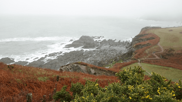 Heather and gorse add colour to a misty grey scene on a clifftop path between Ilfracombe and Woolacombe.