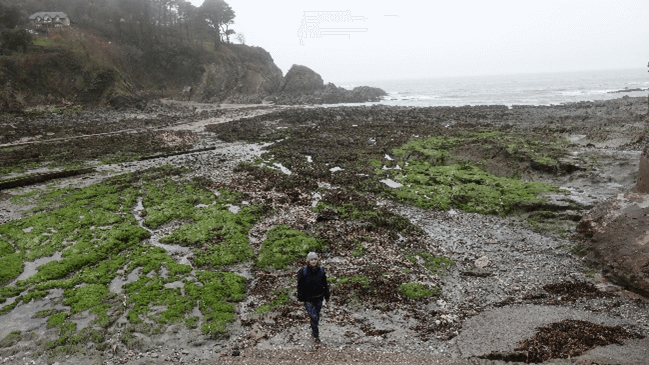 Bright green seaweed strewn over the bay gives the walk some colour.