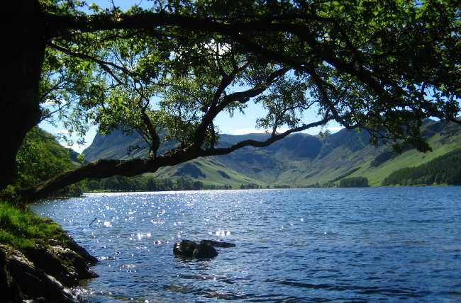 Buttermere as viewed from the shore through the trees.