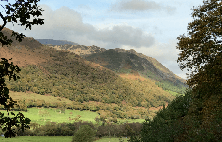 Views through leafy trees toward the steep rocky flank of Cader Idris