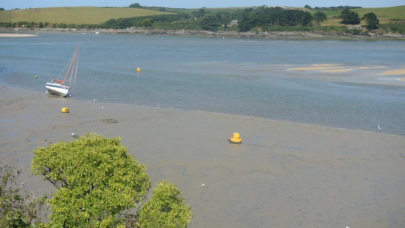 The Camel Estuary gleams in the sun, a stunning view on this walking holiday