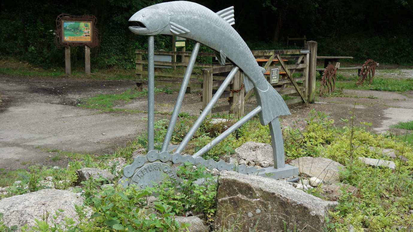 A fish statue spotted as we walked the Camel Way