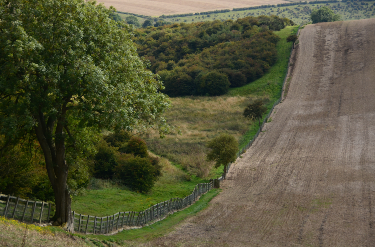 Camp Dale on the Yorkshire Wolds Way