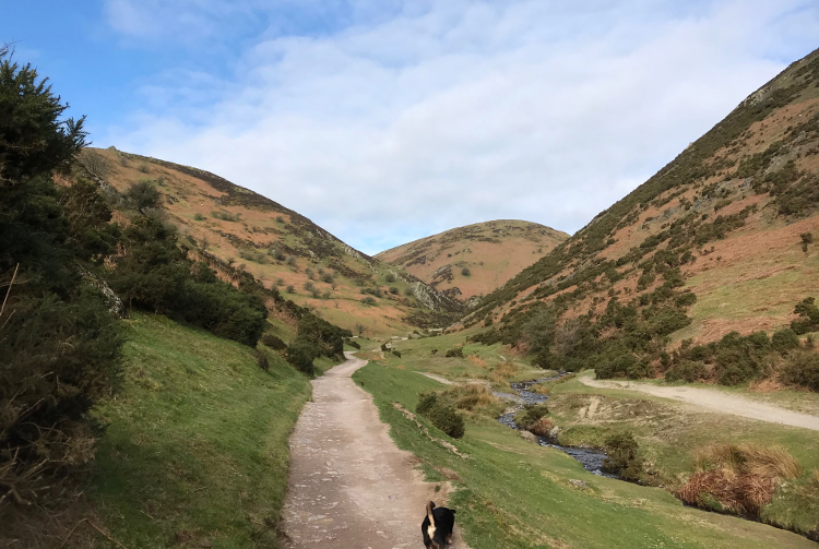 Shropshire Hills Walking Holiday: Carding Hill Valley