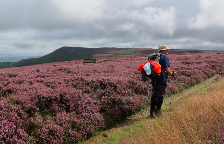 Coast to Coast: North York Moors by Gary Gimbel