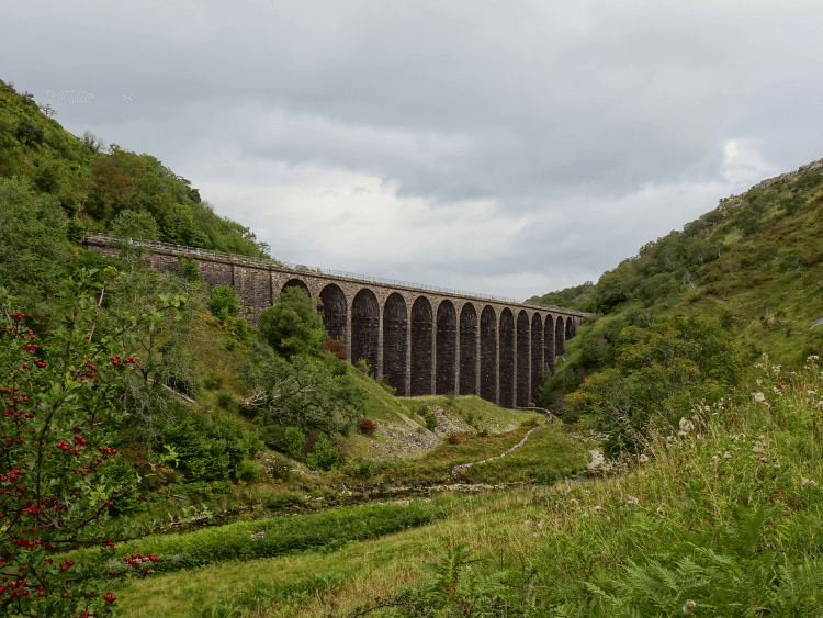 Smardalegill Viaduct by Raymond Riggs
