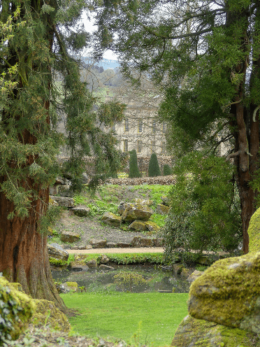 Trees at Chatsworth Hall