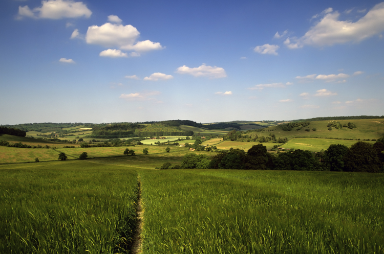 The Ridgeway: Views over the Chilterns