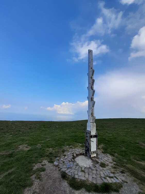 A climbing pole, much like a telegraph pole with wooden steps leading up its side.