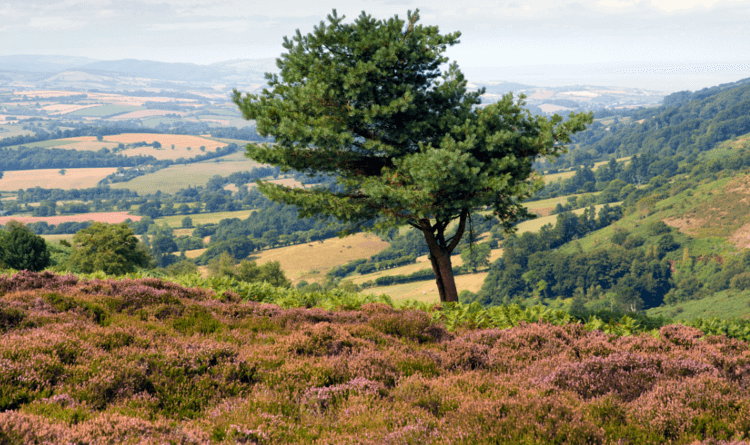 Top 10 Autumnal Walks: