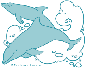 Art in the Contours Holidays colours of two dolphins swimming off the coast of Cornwall.