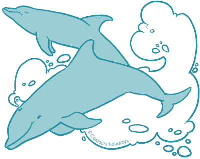 Art of bottle nosed dolphins on Cornwall's Atlantic Coast - South.