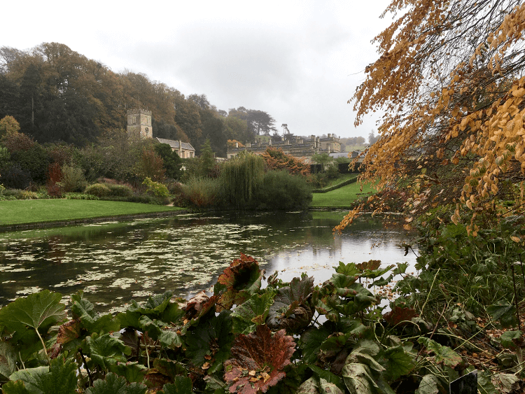 Leafy foliage and a pond full of lilypads at Dyrham on the Cotswold Way UK walking holiday