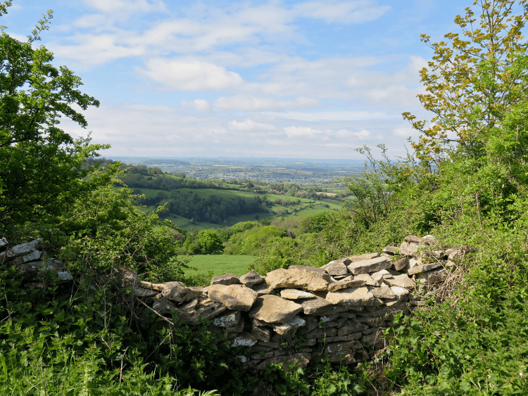 Green view over a drystone wall near Bath on this UK walking holiday