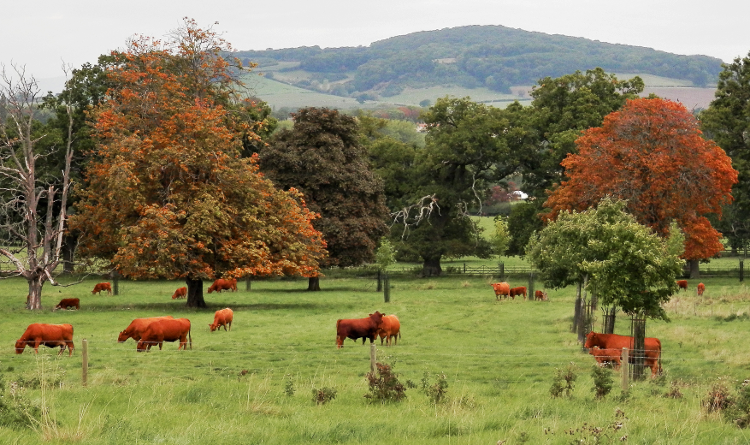 Top 10 Autumnal Walks: