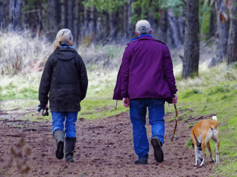 A couple walk their dog.
