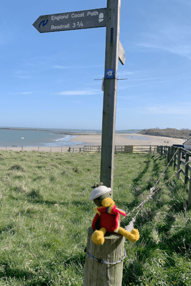 Out on the Northumberland coast, Croutons sits beneath a wooden fingerpost pointing the way along the England Coast Path.