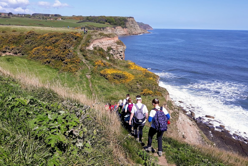 Cleveland Way 50th Anniversary: Contours descend from the cliffs