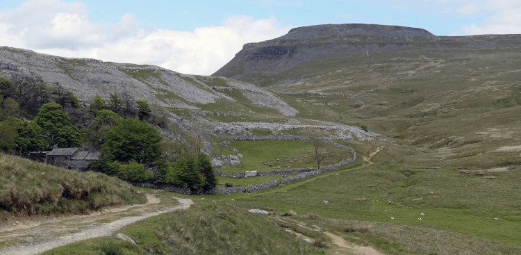Views up to Ingleborough on this dog-friendly day walk.