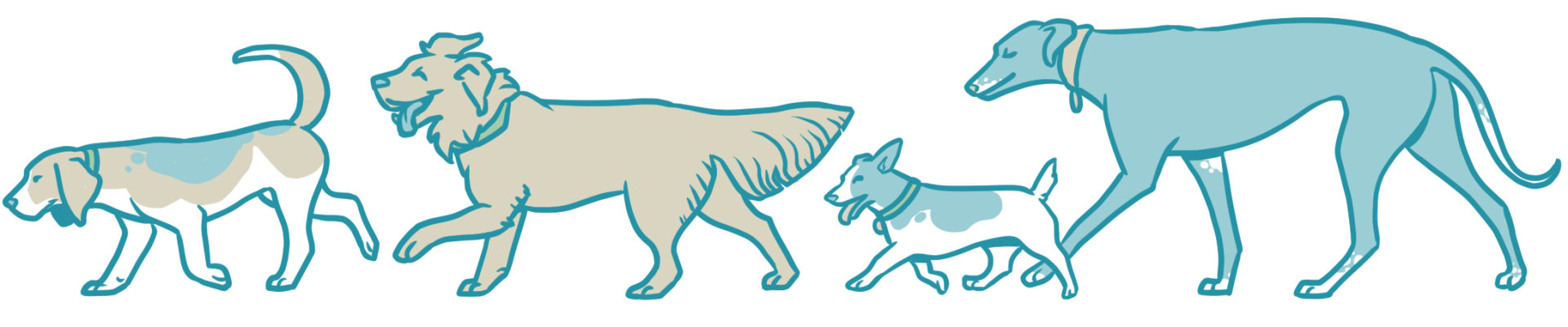 A drawing in blue and tan of a line of dogs marching from right to left. They are a beagle, a spaniel mix, a terrier and a sighthound. They all look happy to be on their walk.