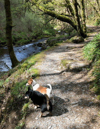 Mindy and Ralph follow a path along a wooded riverside.