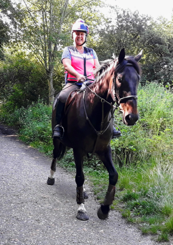 A horse on the Downs Link