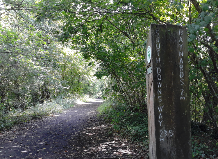 A waymarker for the South Downs Way