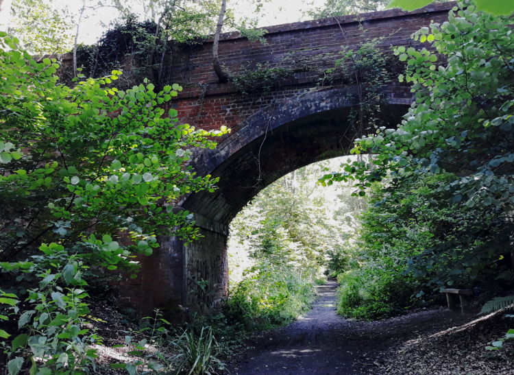 Under the bridge on the Downs Link trail