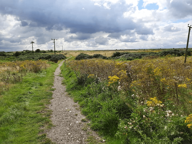 The England Coast Path through Esssex