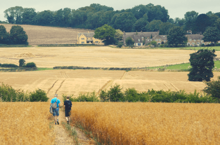 A parent and teenaged child follow the Cotswold Way, a great trail for families, as it leads along a beaten earth path through a cereal field towards a cluster of honey-stone farm buildings.