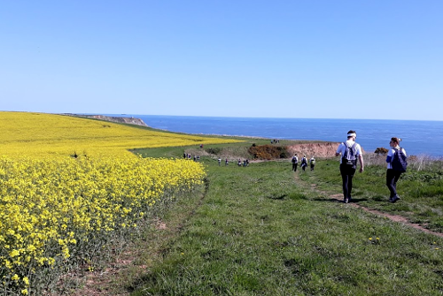 Cleveland Way 50th Anniversary: Yellow Fields