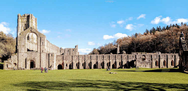 The ruin of Fountains Abbey is fairly complete and dominates the photo. It has a large tower at the end.