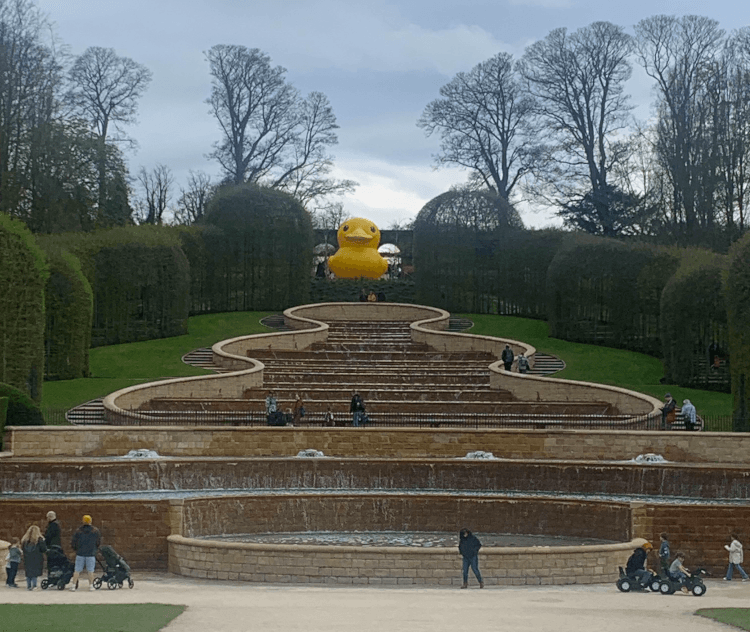 A giant yellow rubber duck sits at the top of a stepped stone fountain at Alnwick Garden.