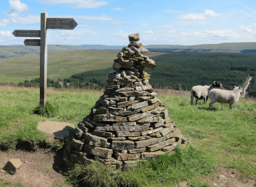 A fingerpost, cairn and two unbothered sheep stand on a hill on the Pennine Way, one of the UK's most challenging National Trails.