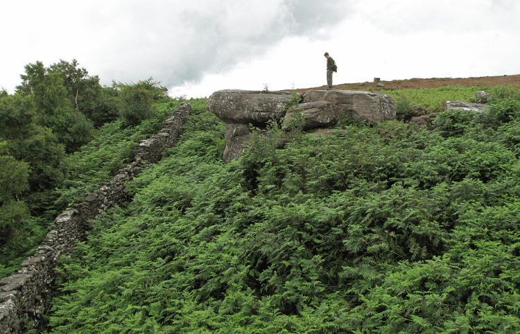 A walker stands on gritstone overlooking a deep leafy gully in Nidderdale.