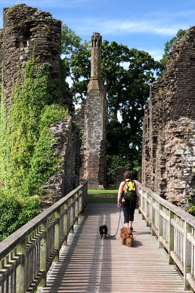 Grosmont Castle