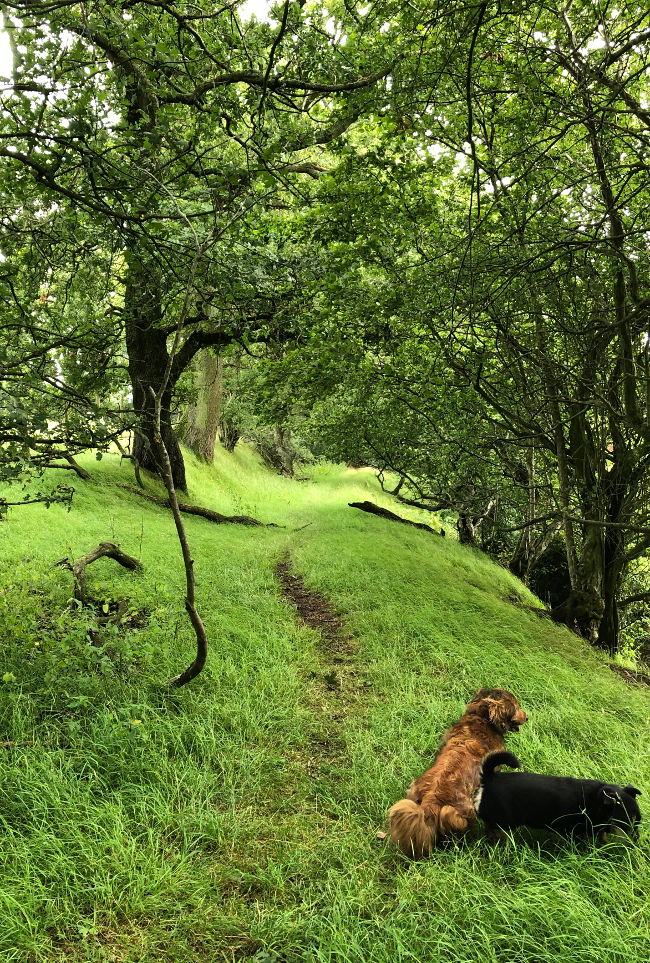 Walking Grosmont to Skenfrith on the Three Castles Walk