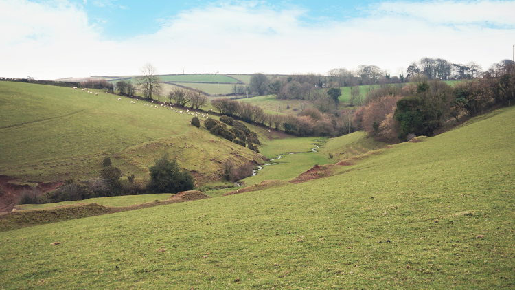 Heading toward EastBuckland