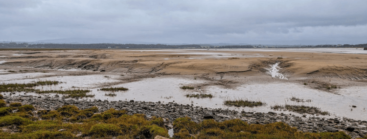 Views across the estuary and the tidal flats near Sunderland.