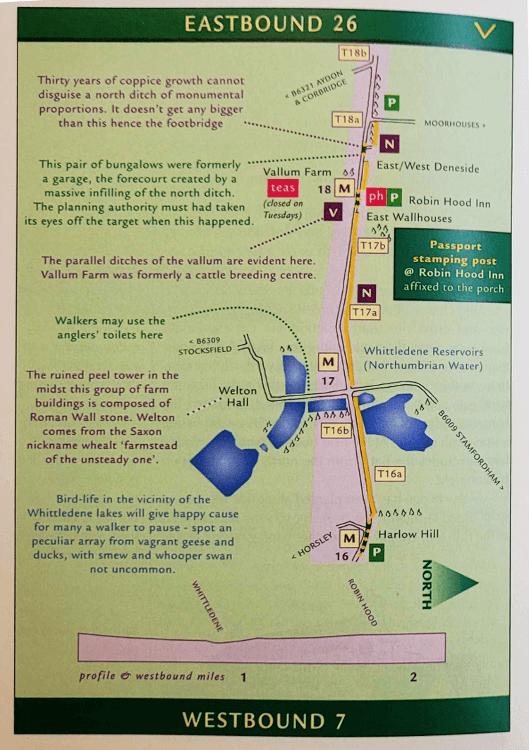 A map showing the Roman wall and pointing out details such as filled-in features, the stamping station and a good place to spot ducks