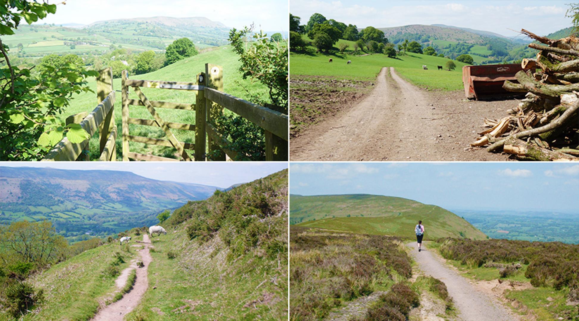 Four images of Jude's walk along Offa's Dyke Path: a shade-dappled gate and three shots of the trail snaking through nature